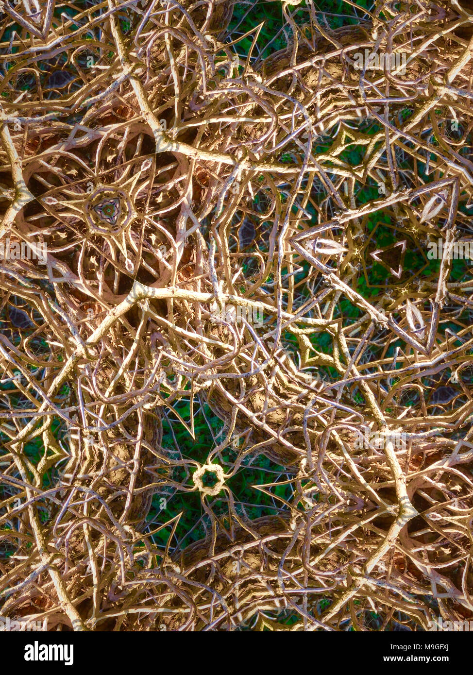 Abstract immagini caleidoscopica di Graminacee, giunchi, radici e paglia trovati nella campagna inglese Foto Stock