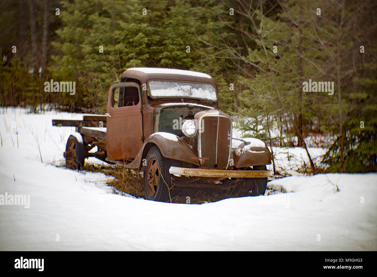 Un vecchie e arrugginite 1936 Chevy 1 1/2 ton pickup truck, vicino Noxon, Montana. Foto Stock