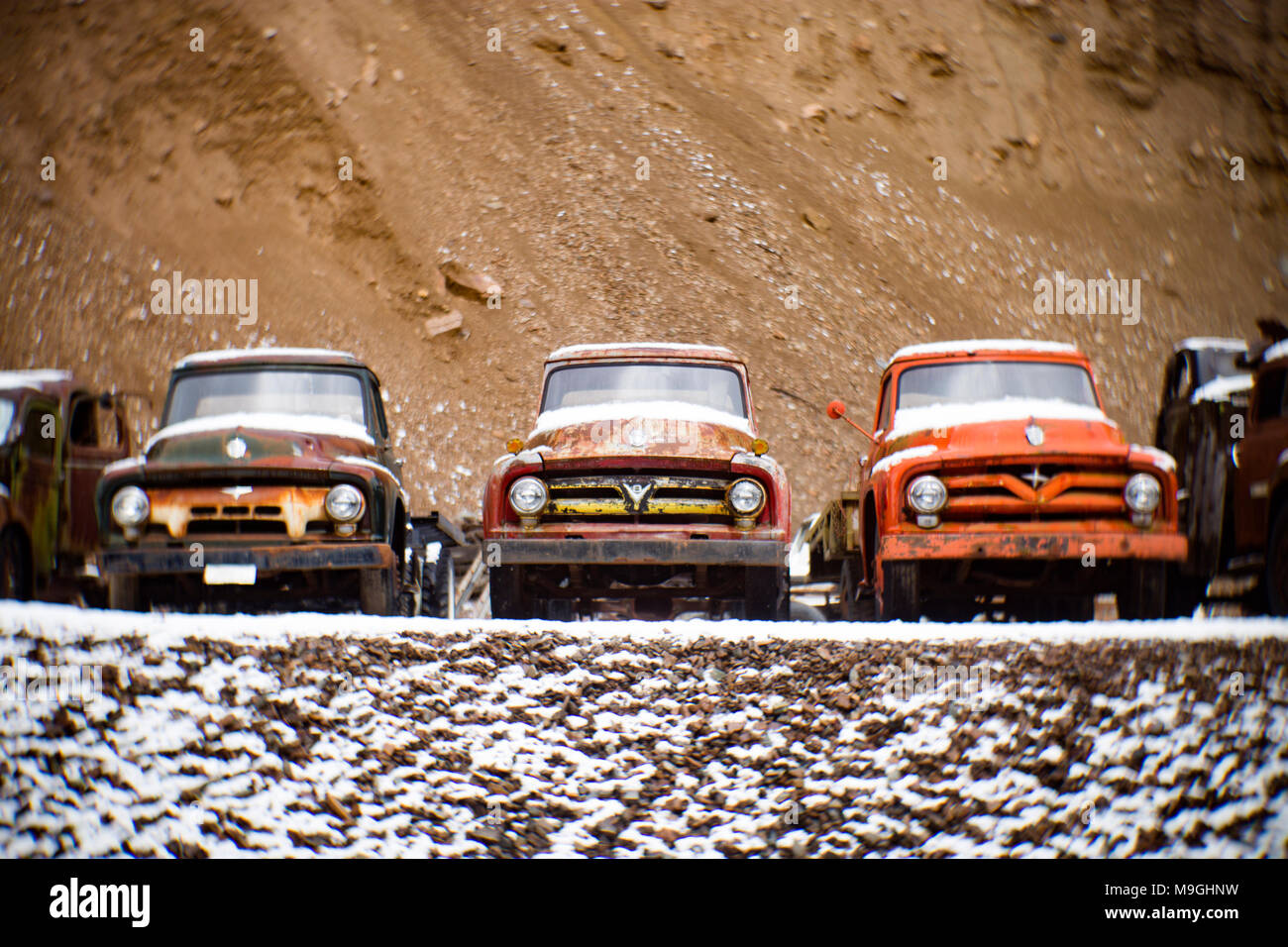 Una fila di old Ford 1953, 1954, e 1955 pick-up, in una vecchia cava, a est di Clark Fork Idaho. Foto Stock