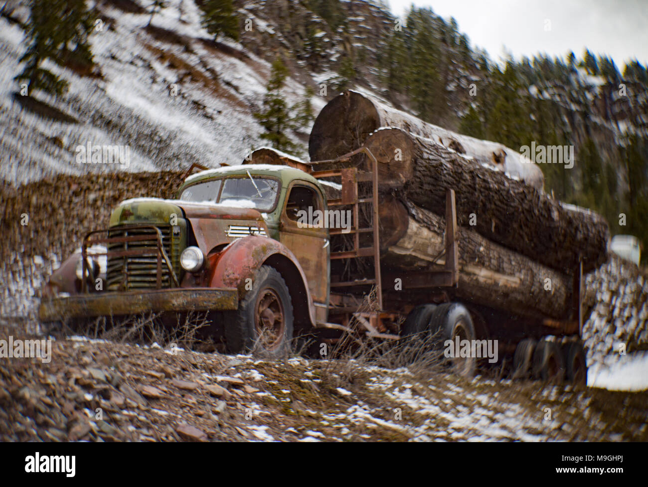 Un 1943 International K-10 semi rimorchio per trattore carrello log in una vecchia cava, a est di Clark Fork Idaho. Foto Stock