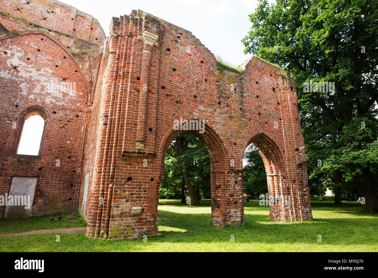 Il gotico medievale rovine di Eldena Abbey (Klosterruine) di Greifswald in Germania. Foto Stock