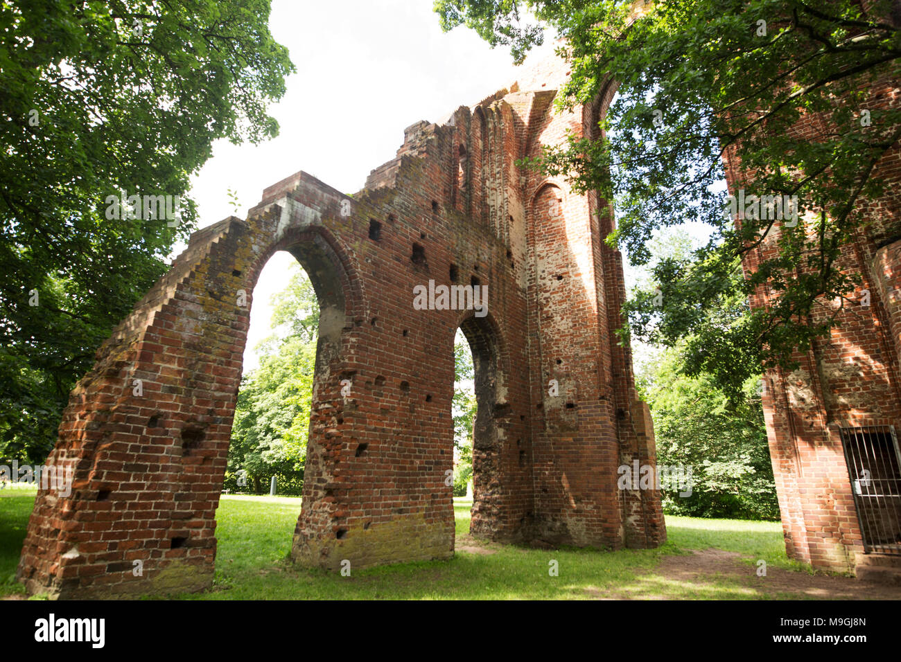Il gotico medievale rovine di Eldena Abbey (Klosterruine) di Greifswald in Germania. Foto Stock