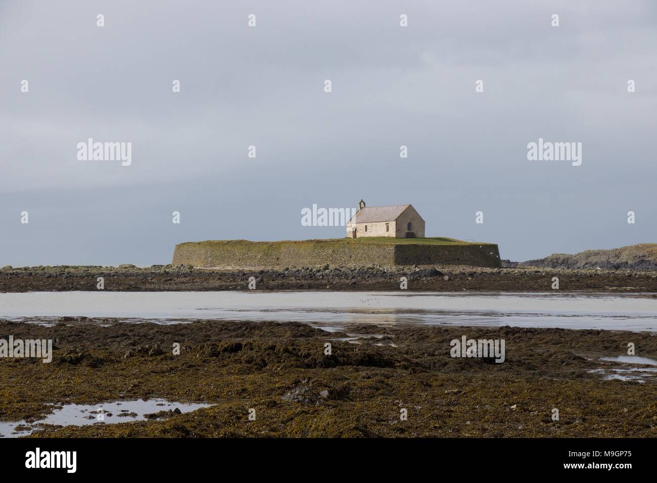 Chiesa Cwfan su un isola vicino a Aberffraw, Anglesey, Galles Foto Stock