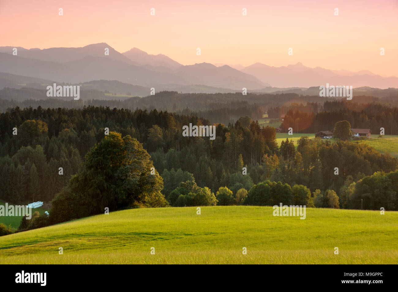 Prealpi vicino Neukirchen con montagne Hochfelln e Hochgern, Chiemgau, Baviera, Germania Foto Stock