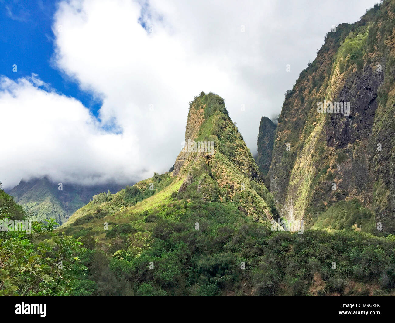 La Iao ago, famoso punto di riferimento nella Iao Valley. Questa roccia di origine vulcanica una volta servita come punto di vedetta per Maui warriors è coperto di vegetazione lussureggiante. Foto Stock