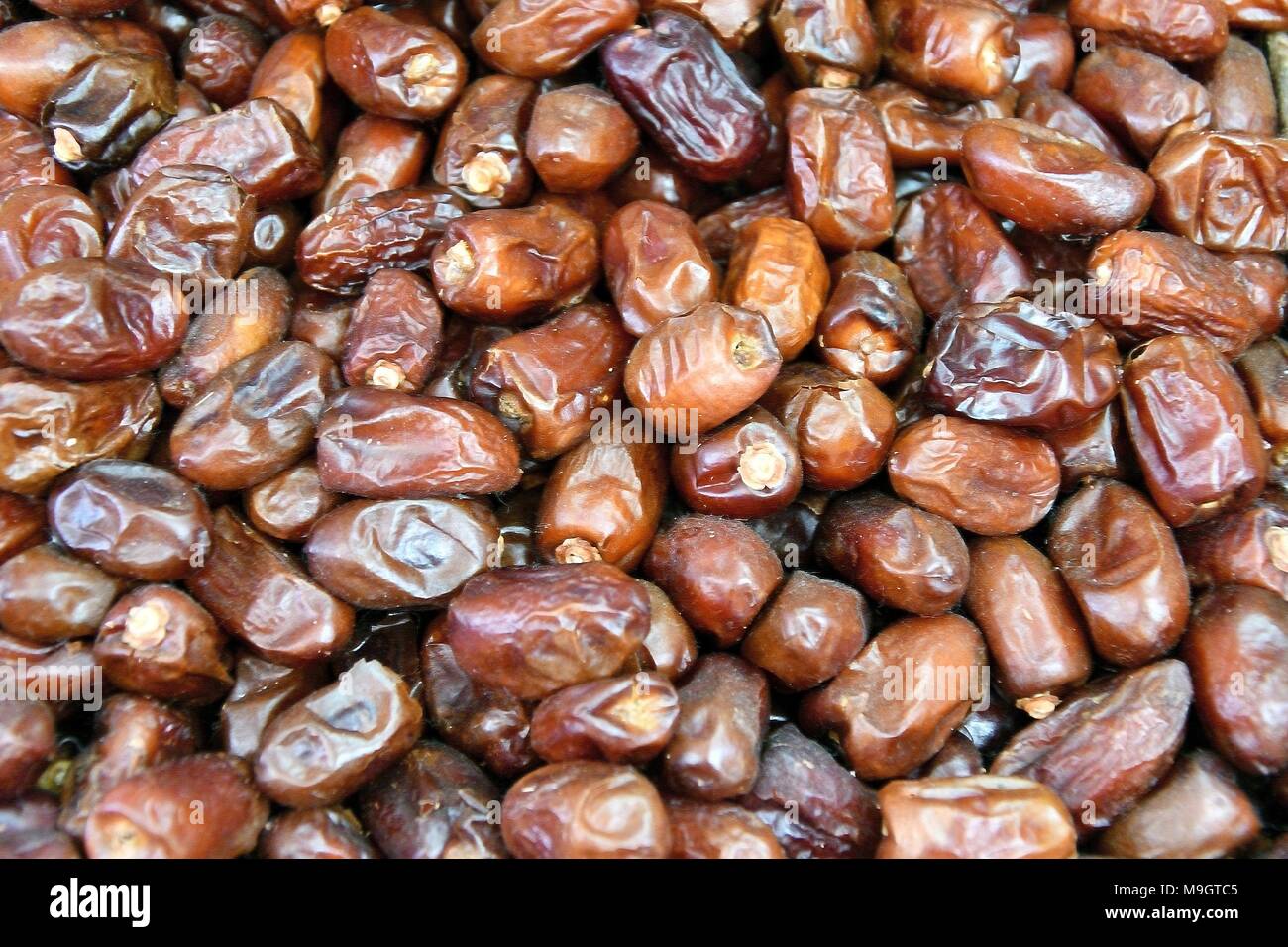Date è la frutta commestibili di alcune specie di data palm. Per un lungo periodo di tempo utilizzato dagli esseri umani sia elevata prezioso prodotto alimentare. Foto Stock