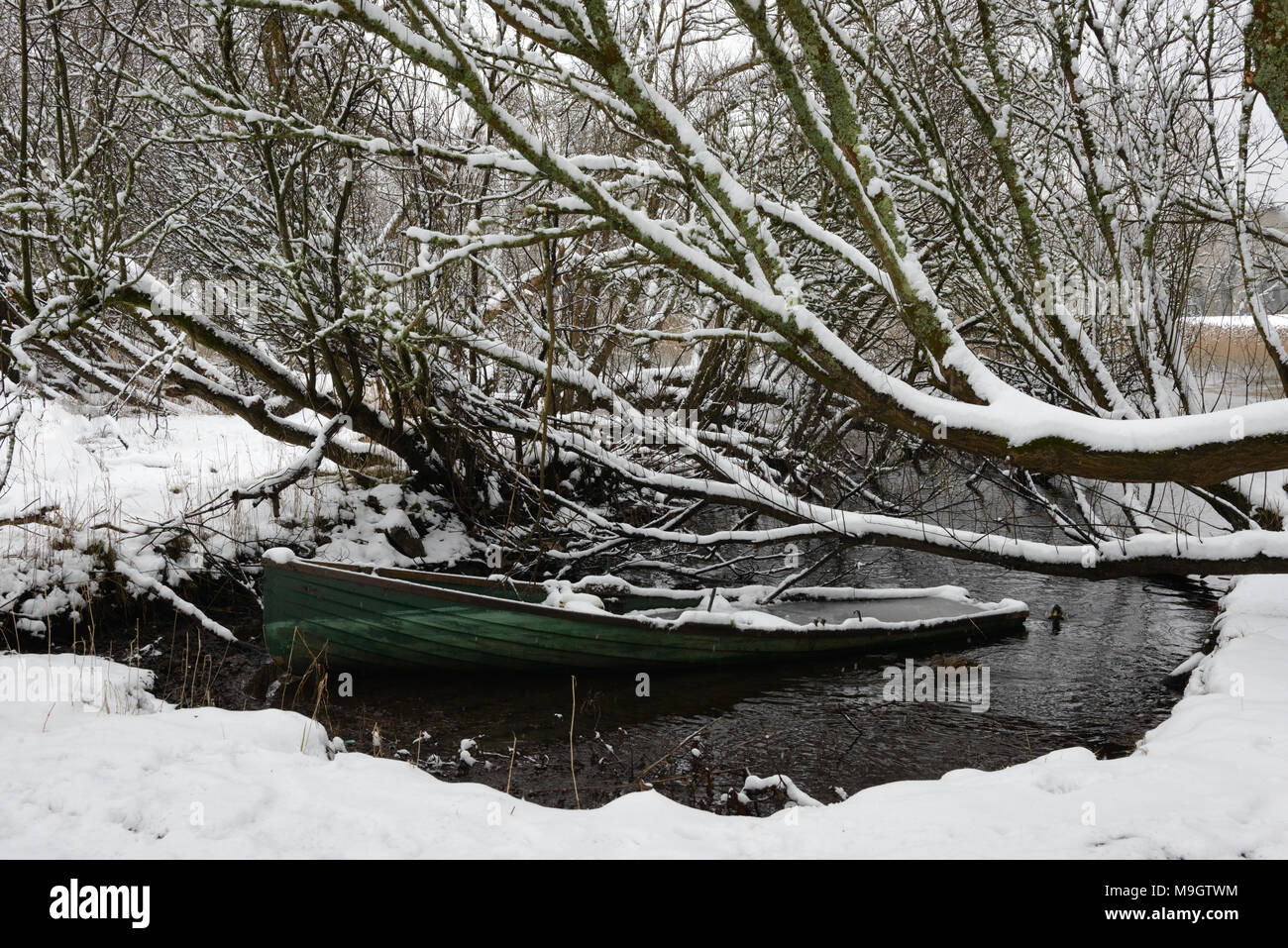 Verde barca da pesca sotto gli alberi coperti di neve in piccola insenatura lago nel Killarney National Park, County Kerry, Irlanda Foto Stock