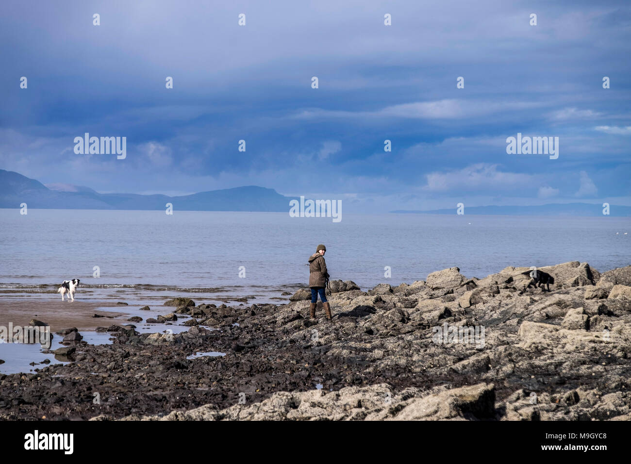 Cane di camminare sulla spiaggia come nubi in rotolo con Arran in background Foto Stock