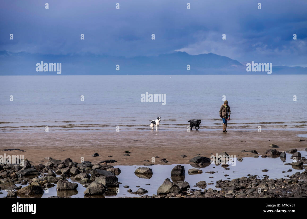 Cane di camminare sulla spiaggia come nubi in rotolo con Arran in background Foto Stock