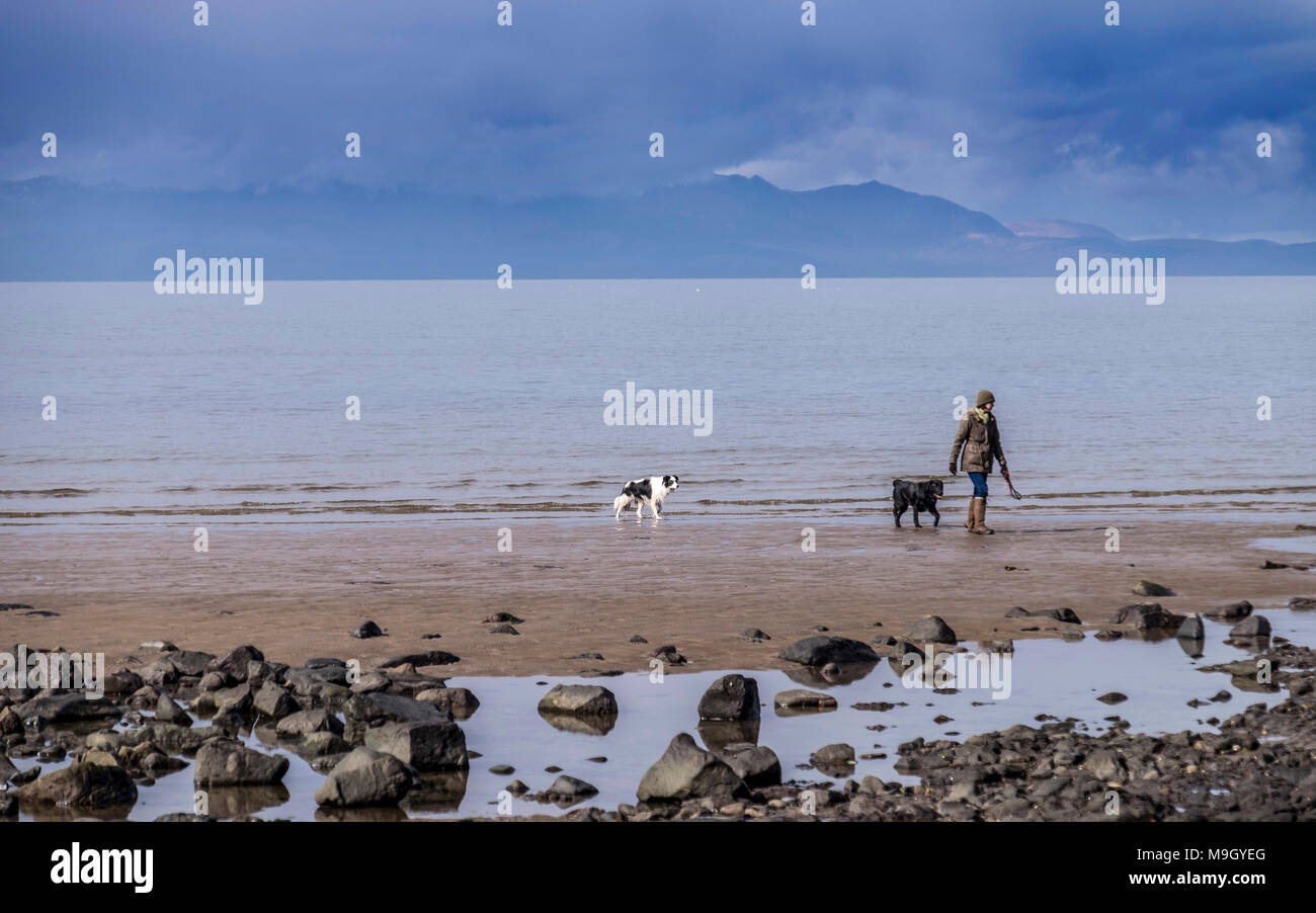 Cane di camminare sulla spiaggia come nubi in rotolo con Arran in background Foto Stock