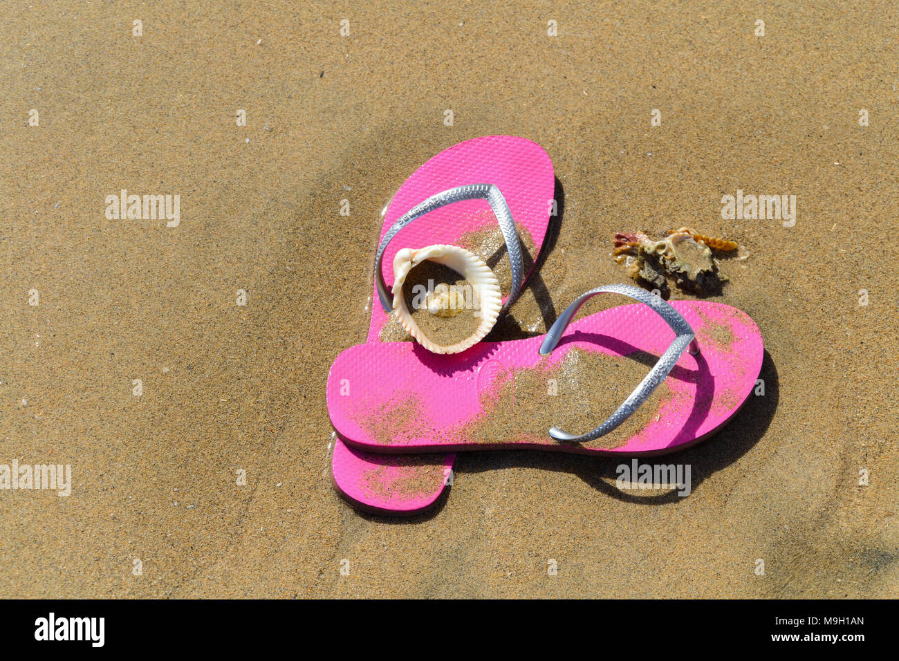 Rosa flip flop nella sabbia Foto Stock