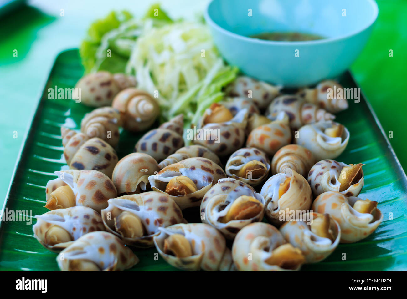 Avvistato Babilonia sulla piastra Foto Stock