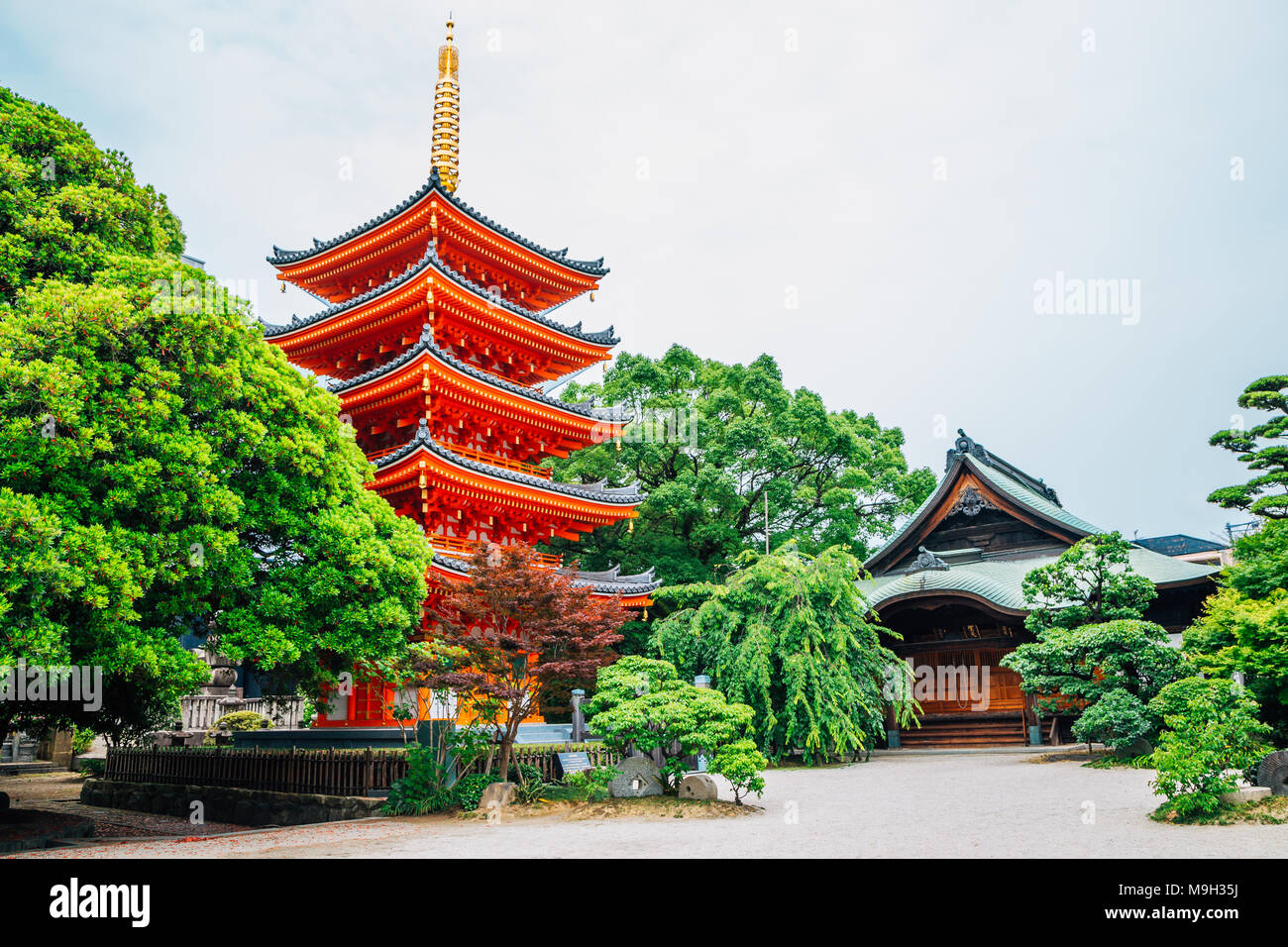 Santuario Tochoji Immagini E Fotografie Stock Ad Alta Risoluzione Alamy santuario-tochoji-immagini-e-fotografie-stock-ad-alta-risoluzione-alamy