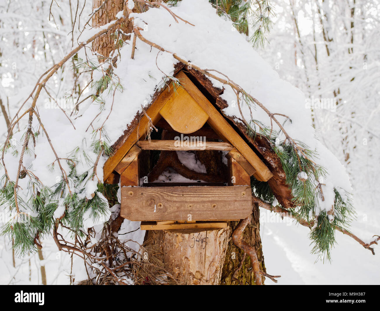 Foto di bird feeder con neve su albero Foto Stock