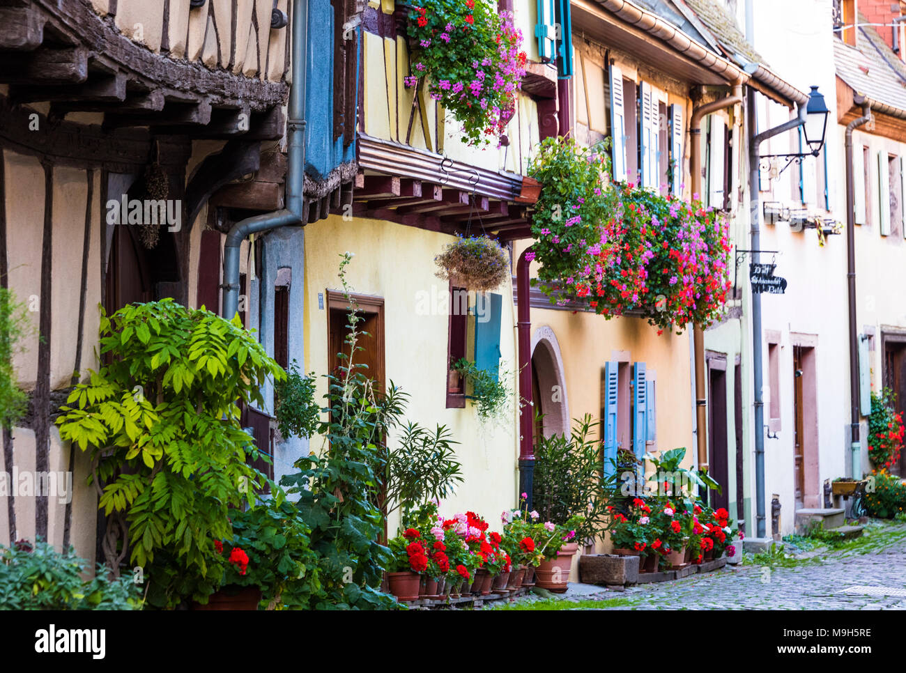 Le strade in ciottoli e le case con travi di legno del villaggio medievale Eguisheim, membro del " i più bei villaggi della Francia", vino Alsaziano R Foto Stock