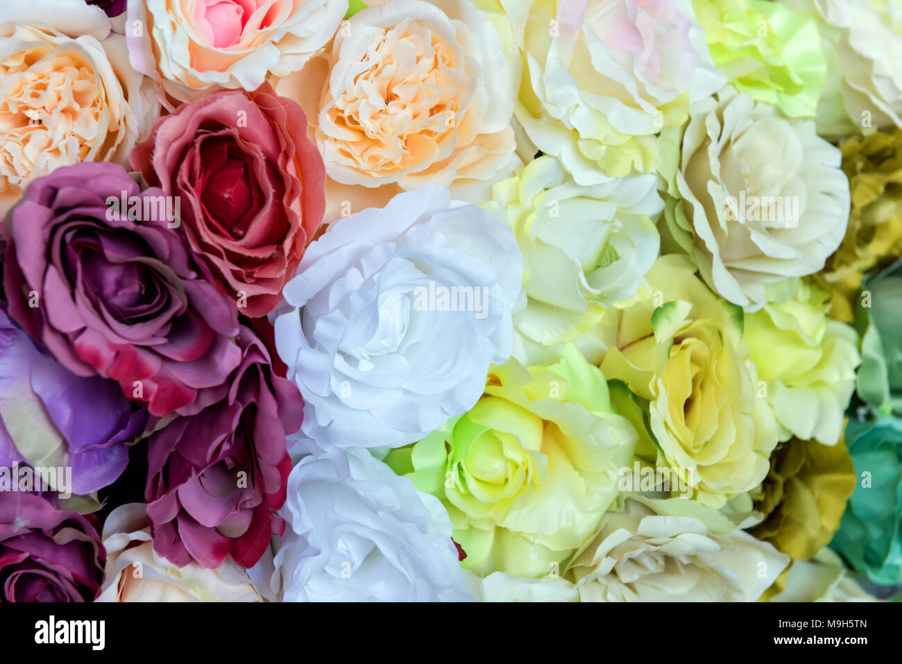 Design colorato modello di texture floreali e sfondo Foto Stock