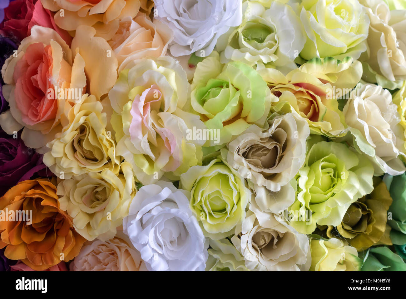 Design colorato modello di texture floreali e sfondo Foto Stock