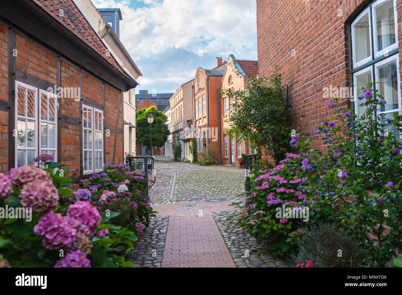 Centro storico della città di Bad Oldesloe, contea di Storman, Schleswig-Holstein, Germania, Europa Foto Stock