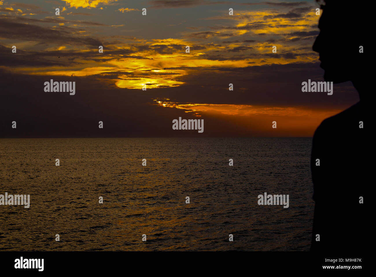 Silhouette di un uomo del peering al tramonto. Foto Stock