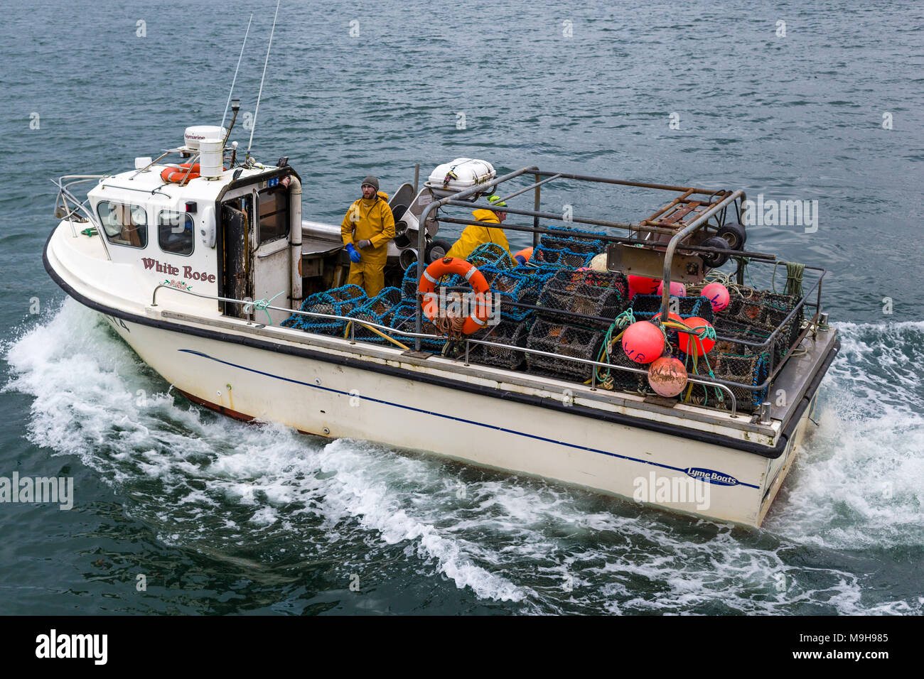 Barca da pesca lasciando Portmagee Harbour, nella contea di Kerry, Irlanda Foto Stock