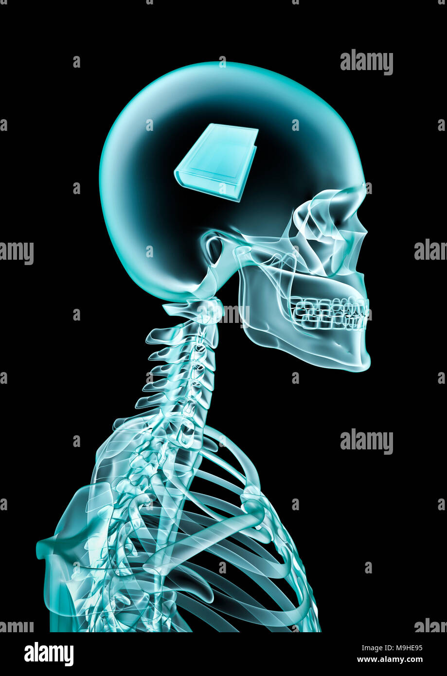 X-ray prenota amante / 3D illustrazione di scheletro umano x-ray mostra spessore libro all'interno della testata Foto Stock