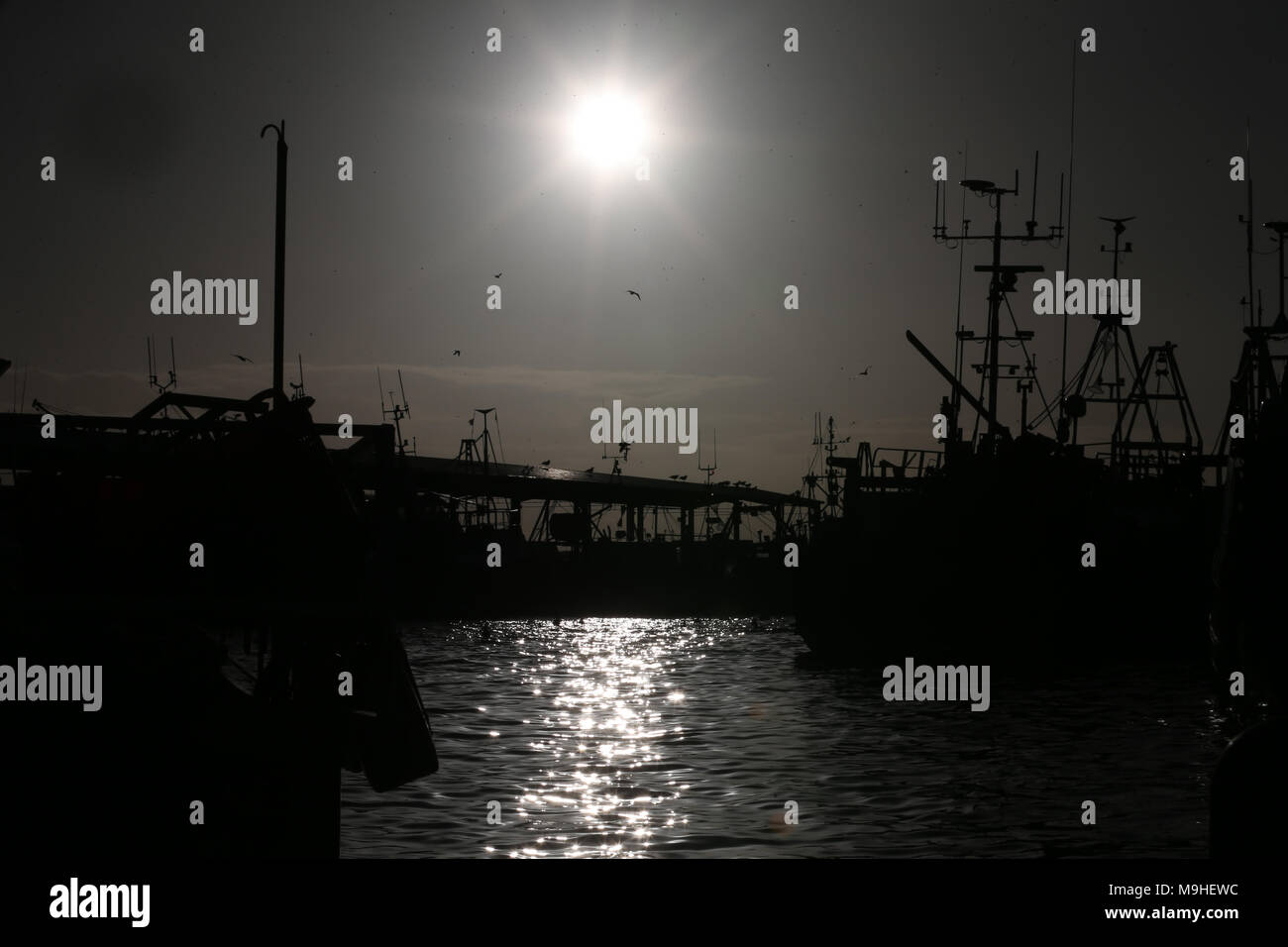 Pesce Quay, il North Shields Fish Quay è un'area alla foce del fiume Tyne ricche di patrimonio culturale nonché una moderna area, mercoledì 11 gennaio 2017. Foto Stock