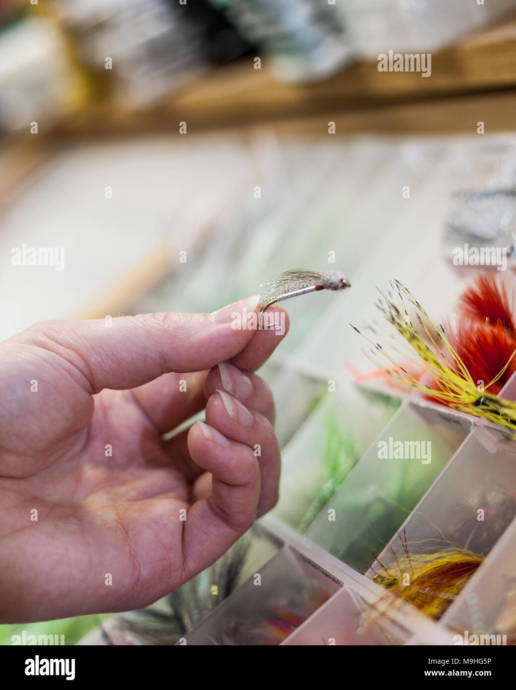 Primo piano di una mano che tiene un volo in un negozio di Mosca. Il fly è utilizzato per la cattura delle trote e salmoni durante la pesca con la mosca. Foto Stock