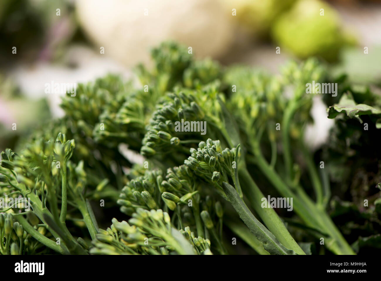 Primo piano di alcune materie steli di broccolini su un tavolo accanto ad altri ortaggi e legumi Foto Stock