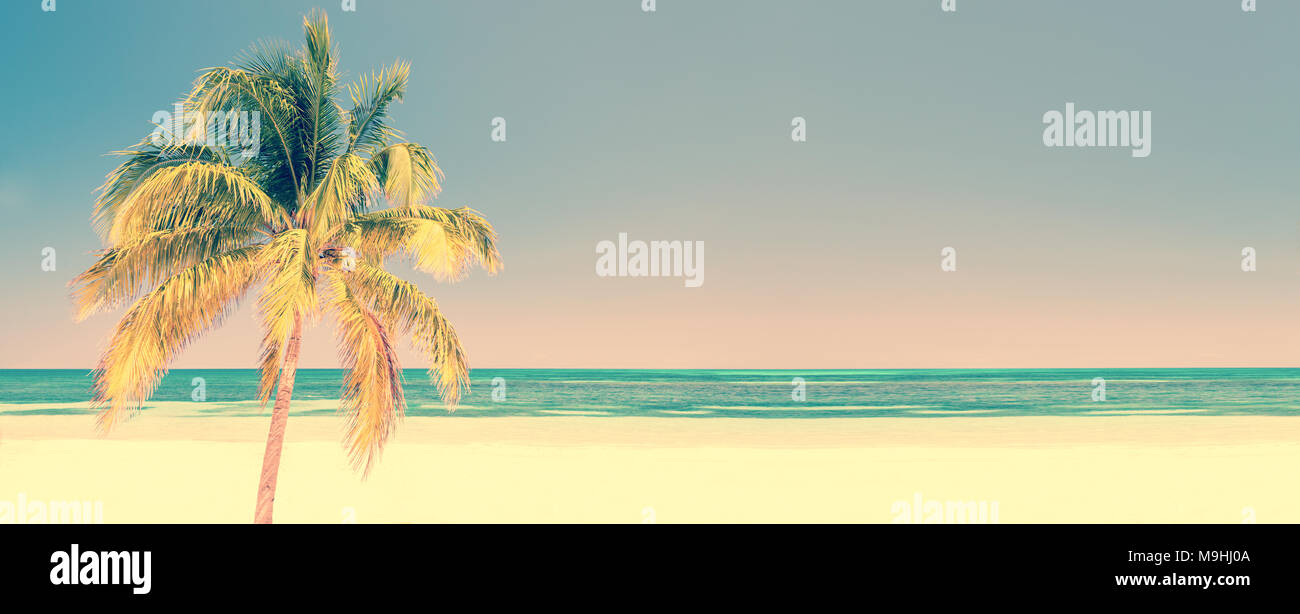 Palm tree su una spiaggia di Cayo Levisa Cuba, sfondo panoramico con copia spazio, stile vintage, concetto di viaggio Foto Stock