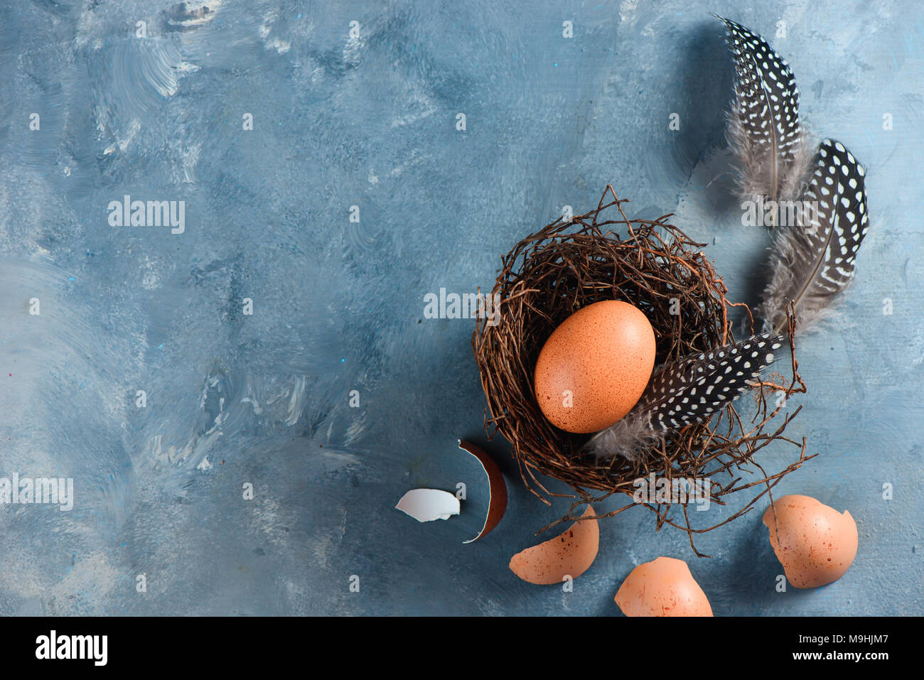 Pollo fresco uova nel nido. La cucina minimalista concetto con copia spazio. Foto Stock