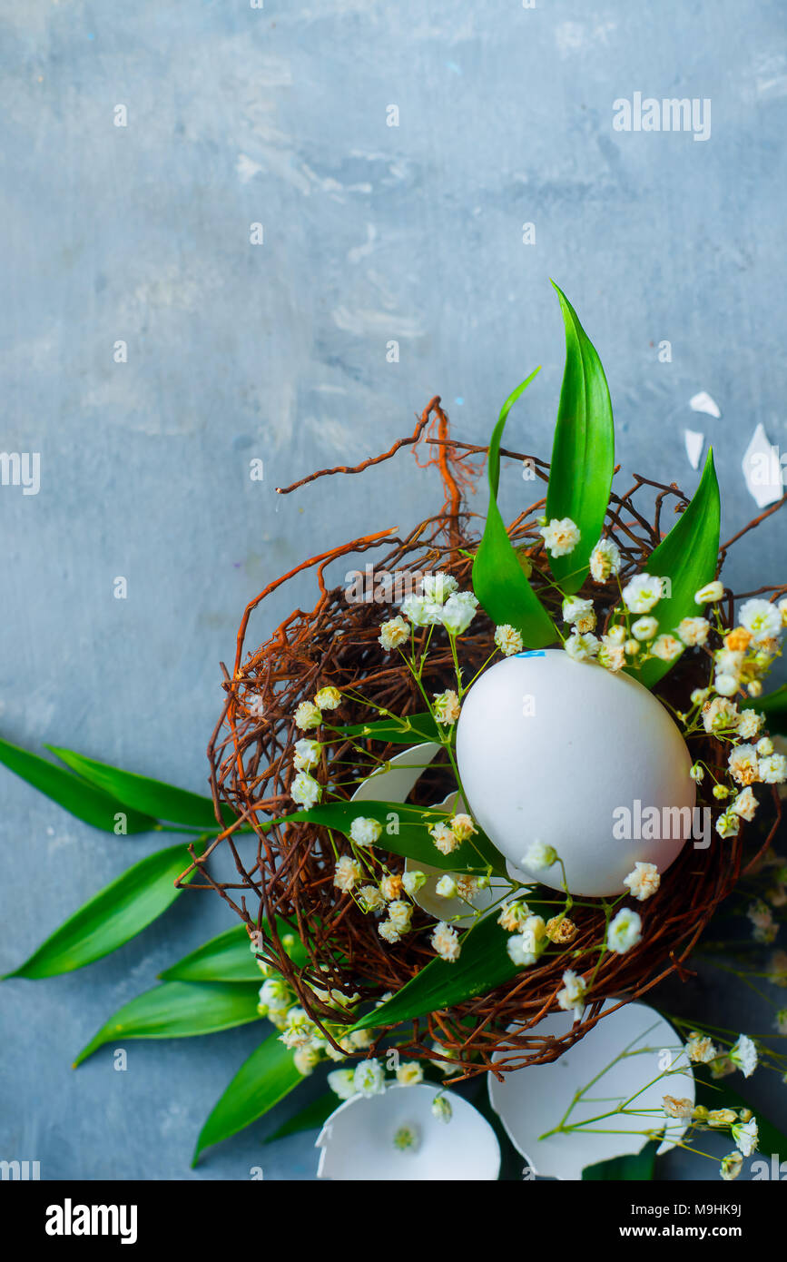 Pasqua floreali concetto di decorazione con il bianco delle uova in un nido, foglie verdi e la molla gypsophila fiori. Cucina organica concetto con copia spazio. Foto Stock