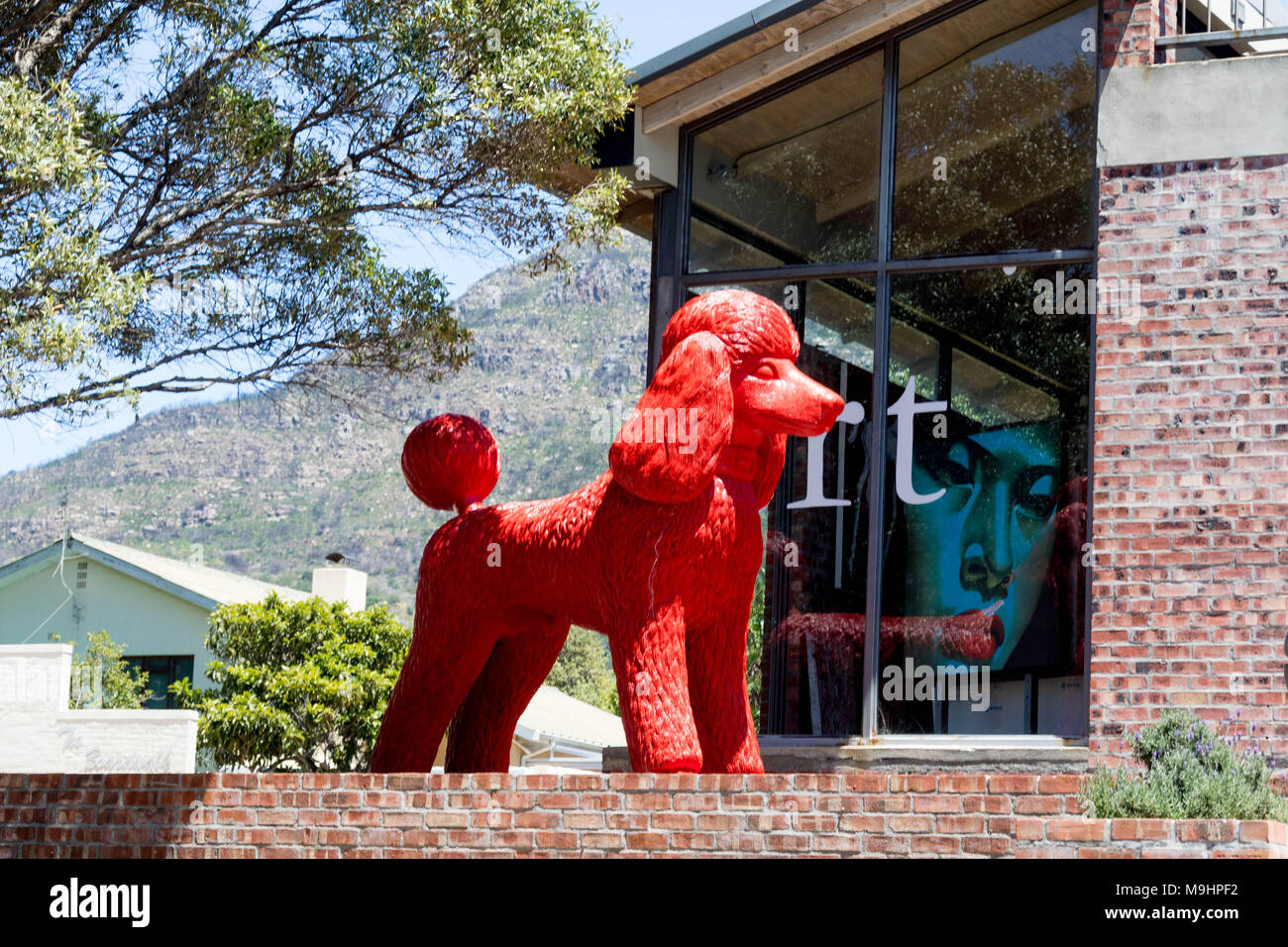 Red Dog scultura a Capetown Foto Stock