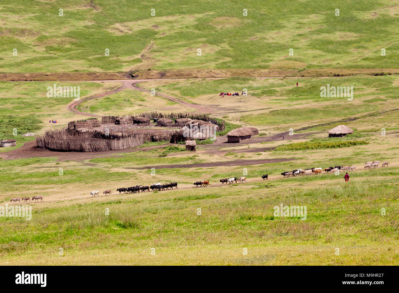Piccolo centro rurale villaggio africano con tradizionale Manyattas (capanne) e allevamento di animali Foto Stock