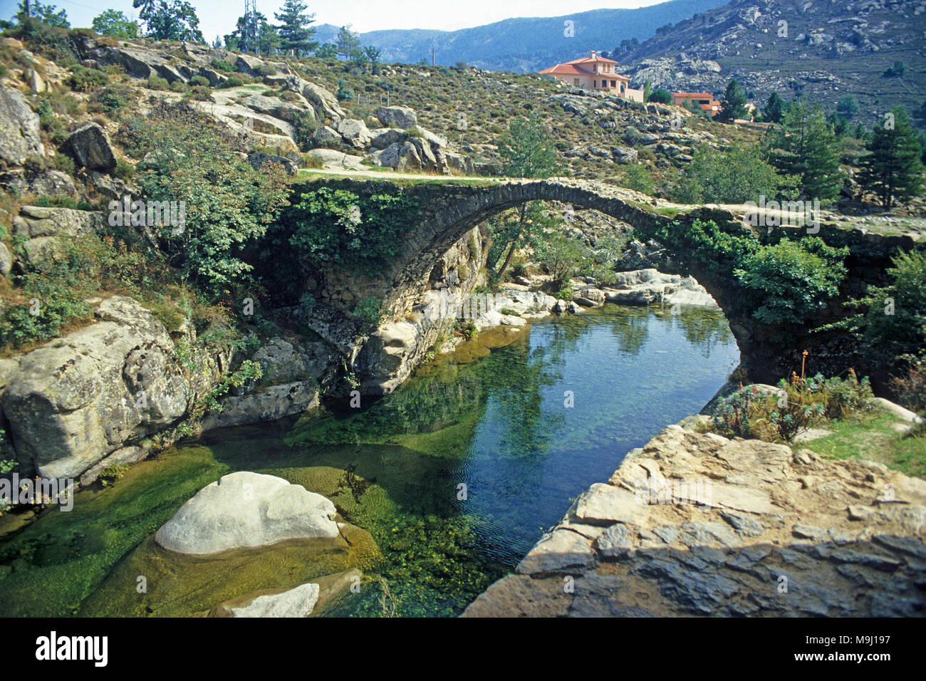 Genovese antico ponte in pietra a Niolu valley, Calacuccia, Corsica, Francia, Mediterraneo, Europa Foto Stock