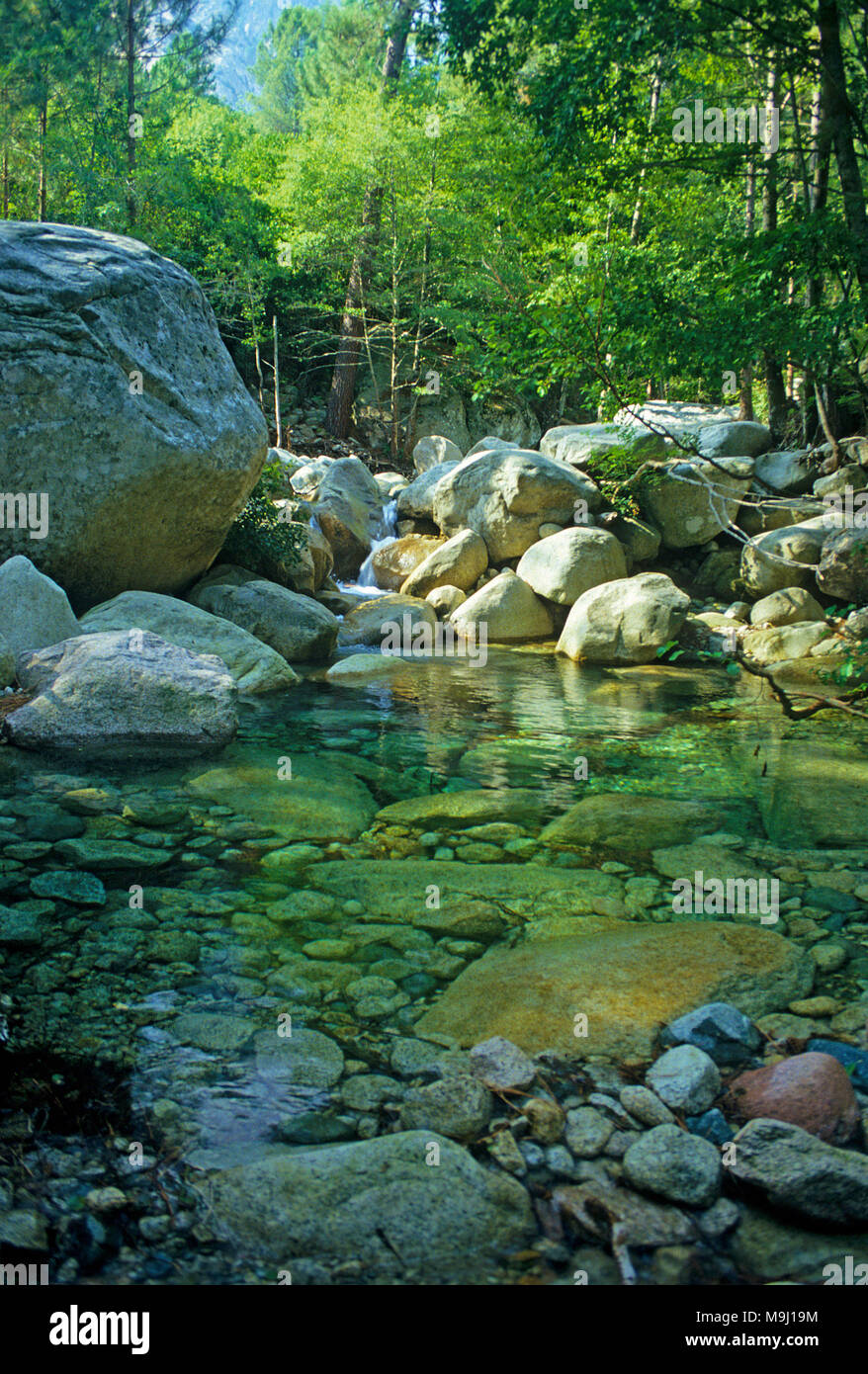 Pozza d'acqua dolce a Niolu valley, Calacuccia, Corsica, Francia, Mediterraneo, Europa Foto Stock
