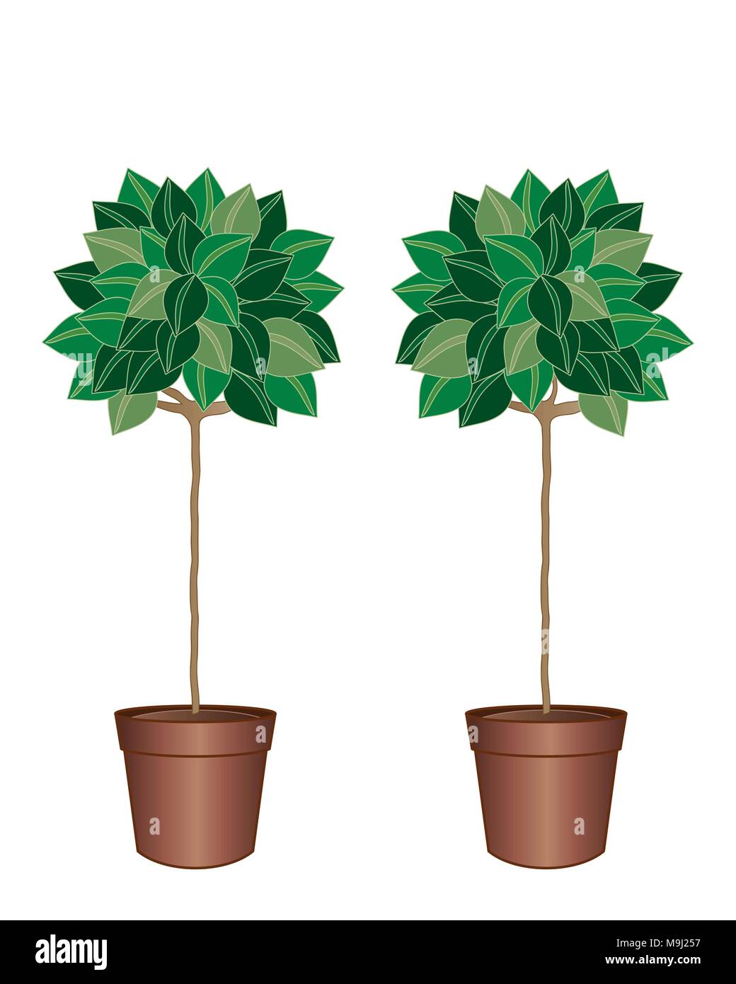 Una illustrazione di una coppia di motivi decorativi baia alberi in marrone pots con fogliame verde isolato su uno sfondo bianco Illustrazione Vettoriale