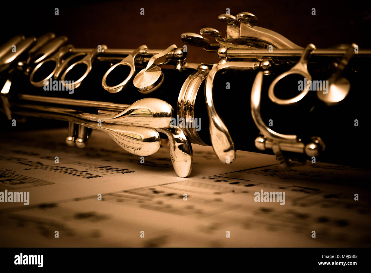 EASTROCK Flauto Traversera Argento A 16 Fori Chiusi Con Custodia, Panno Per La Pulizia E Guanti Per Principianti E Professionisti - Foto 12