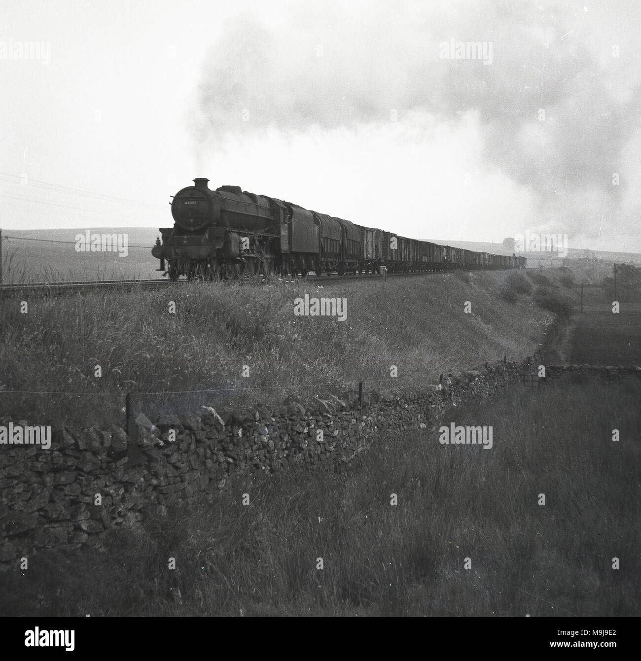 Degli anni Cinquanta, storico locomotiva a vapore con carrozze che viaggiano su una campagna rialzata in binario ferroviario, Inghilterra, Regno Unito. Foto Stock