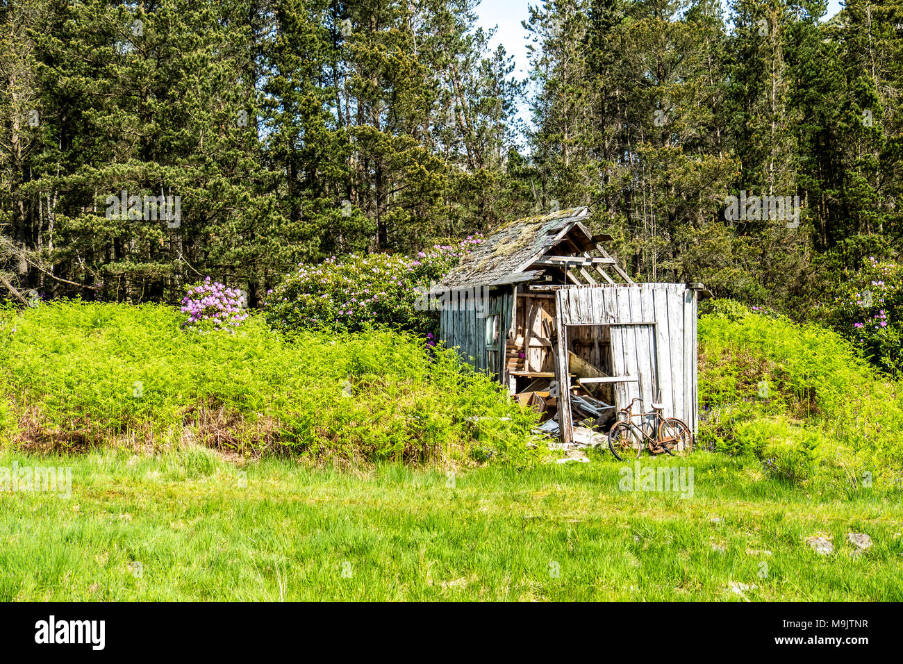 Capannone abbandonato nelle Highlands scozzesi con la rottura di una bici arrugginita all'esterno. Foto Stock