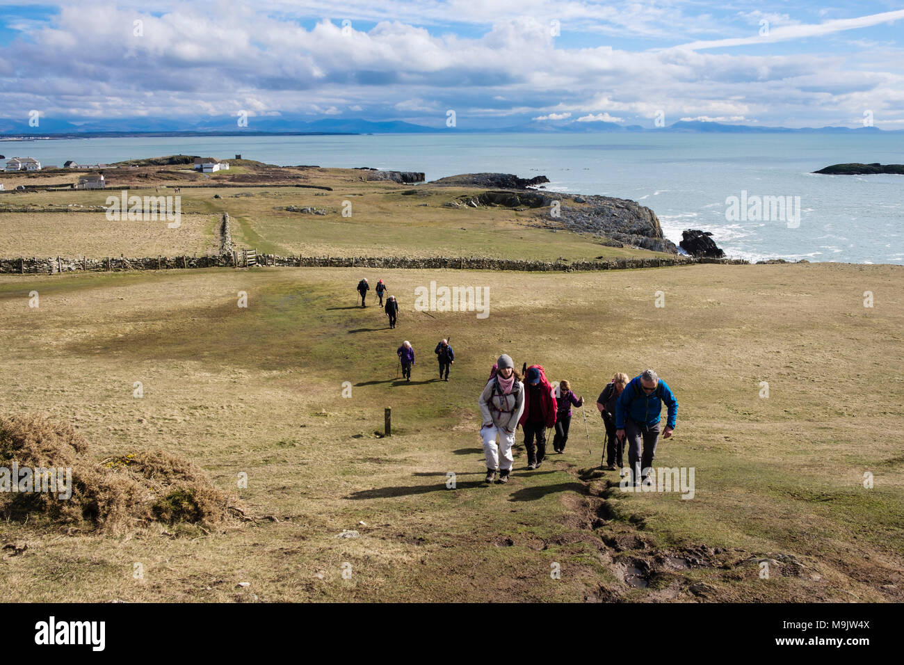 Gruppo di escursionisti in linea lunga walking escursioni sull isola di Anglesey sentiero costiero da Rhoscolyn, Isola Santa, Anglesey, Galles del Nord, Regno Unito, Gran Bretagna Foto Stock