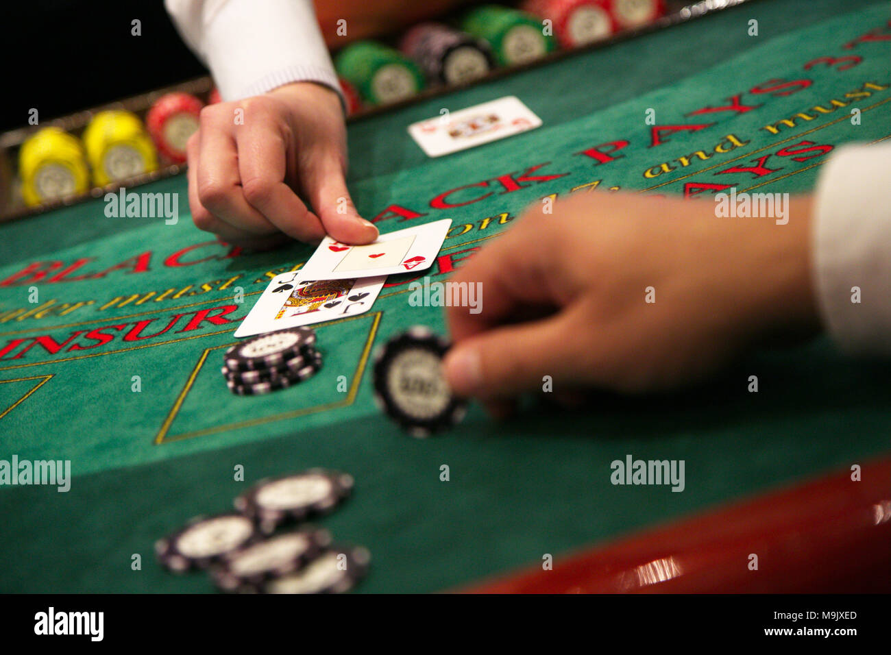 Il concessionario mette giù una carta sul tavolo di Blackjack Foto Stock