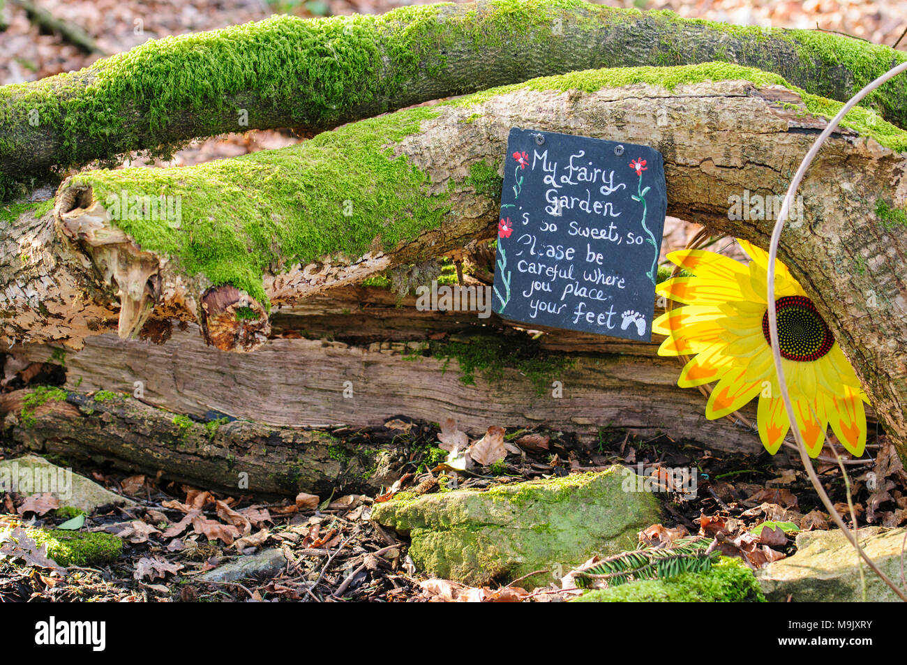 Fairy trail, Slieve Gullion, nella contea di Armagh, Irlanda del Nord Foto Stock