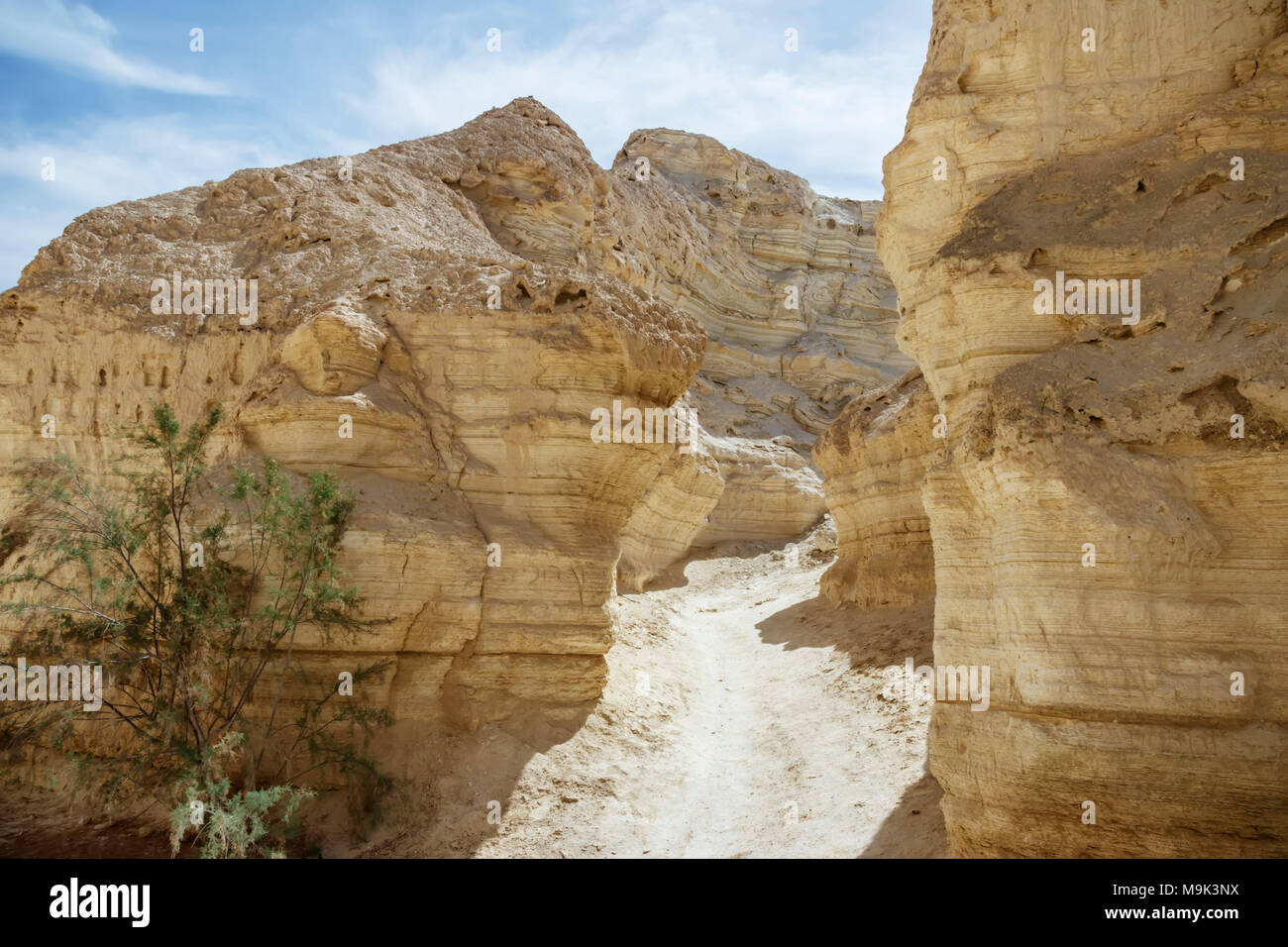 Un sentiero a piedi tra le bianche scogliere di gesso nella gola Foto Stock