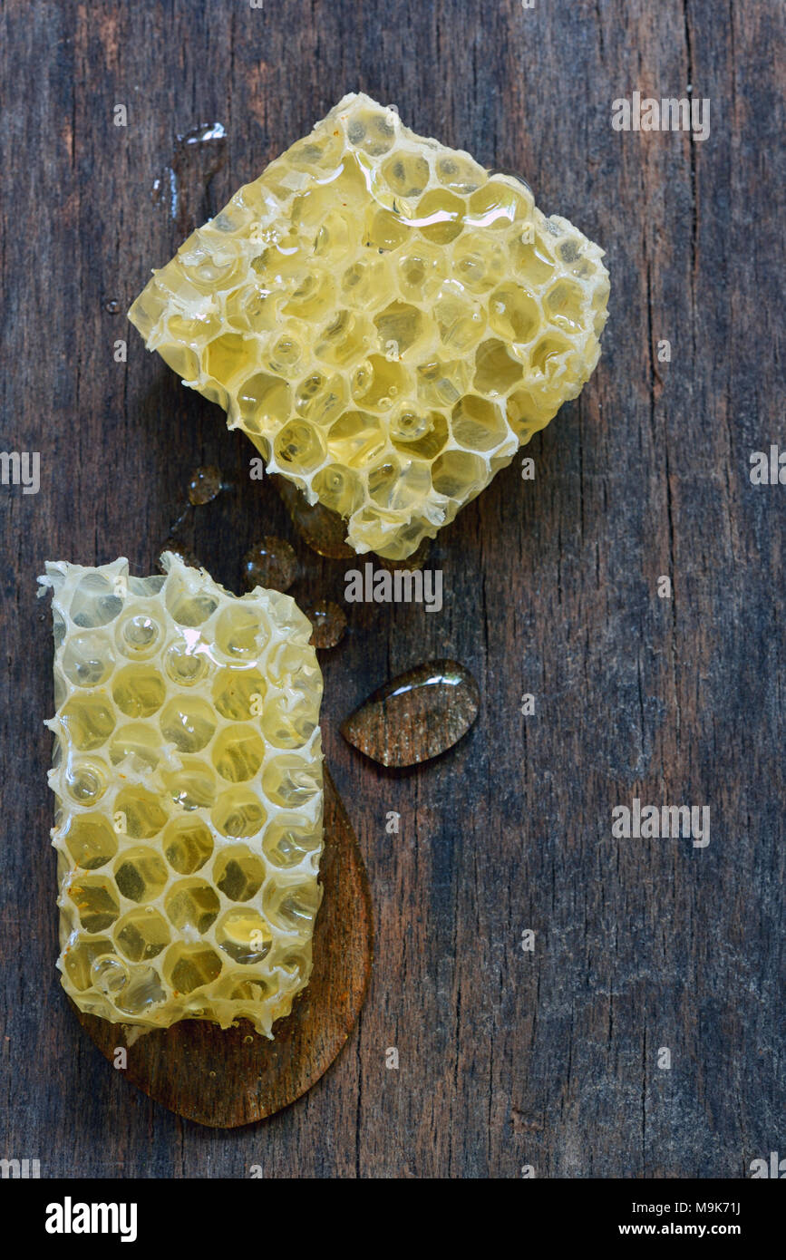 Nido su un annata sullo sfondo di legno Foto Stock