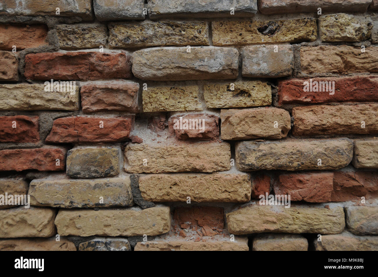 Immagine della parete di sbriciolamento, danneggiato dal sale marino erosione, Venezia, Italia. Foto Stock