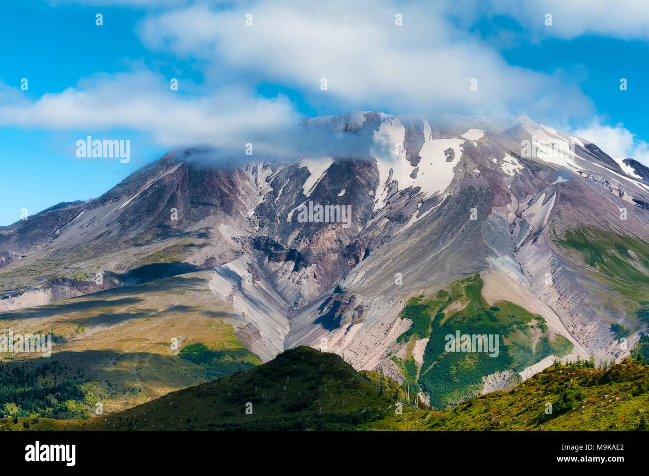 Pendio ovest del Mt. Sant Helens, in Giford Pinchot foresta nazionale nello Stato di Washington. Foto Stock