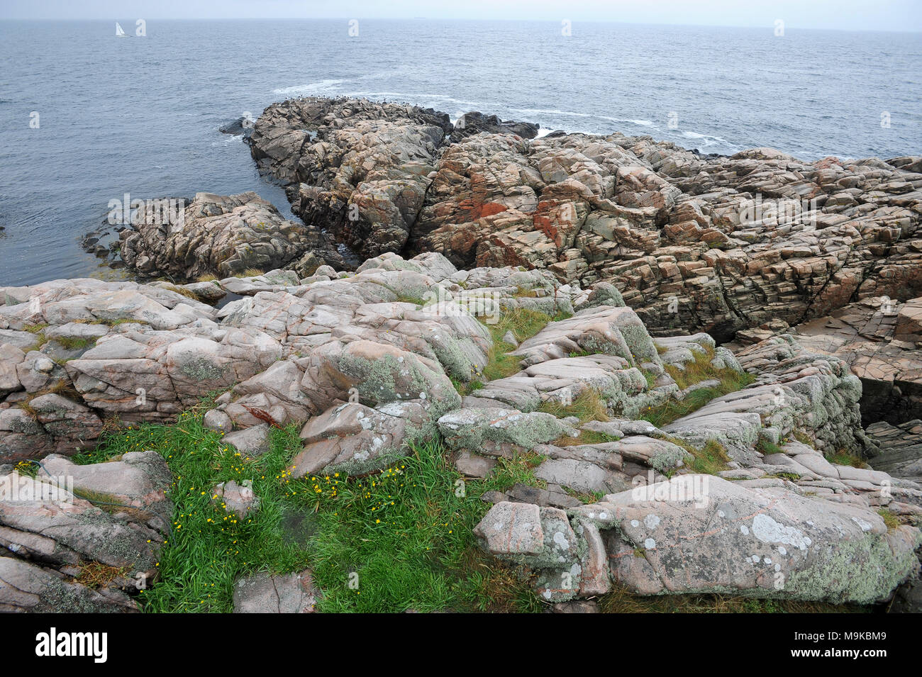 Kullaberg riserva naturale su una penisola Kullaberg in Molle, Skane, Svezia. 15 agosto 2010 © Wojciech Strozyk / Alamy Stock Photo Foto Stock