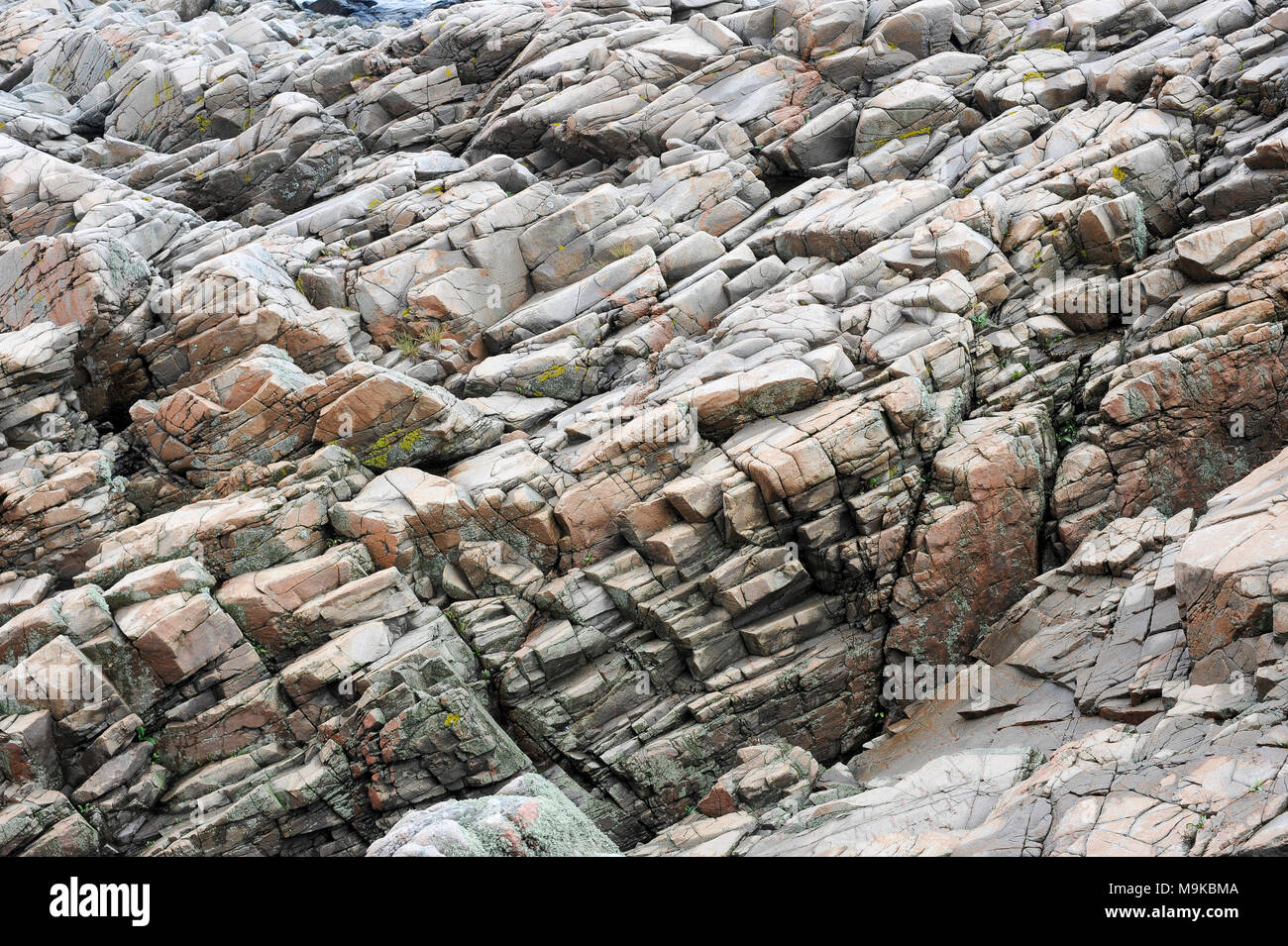 Kullaberg riserva naturale su una penisola Kullaberg in Molle, Skane, Svezia. 15 agosto 2010 © Wojciech Strozyk / Alamy Stock Photo Foto Stock