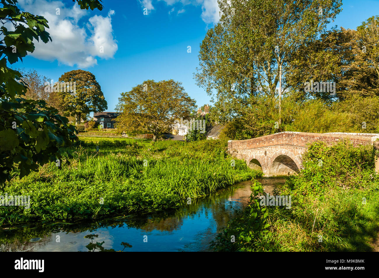 Questo è Thomas Hardy paese. La scrittrice ha vissuto vicino e deve aver camminato oltre il ponte molte volte. Foto Stock