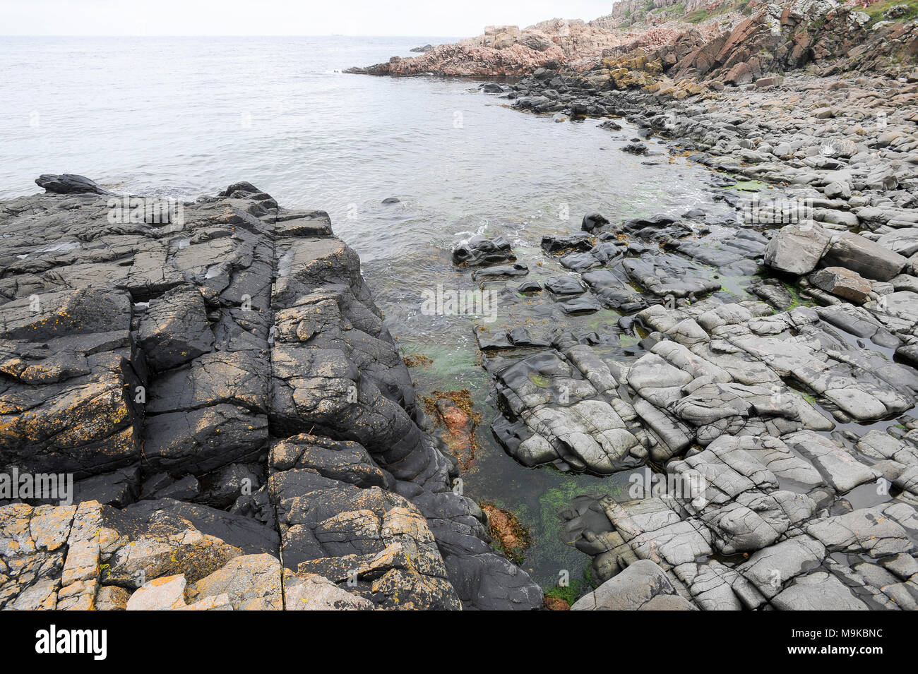 Kullaberg riserva naturale su una penisola Kullaberg in Molle, Skane, Svezia. 15 agosto 2010 © Wojciech Strozyk / Alamy Stock Photo Foto Stock